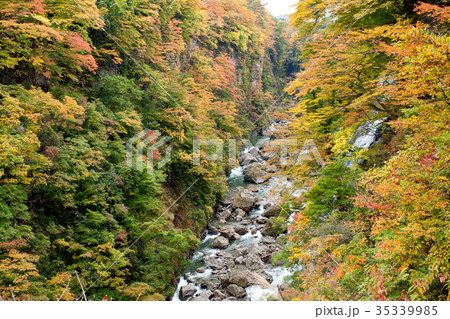 紅葉の小安峡 秋田県の写真素材