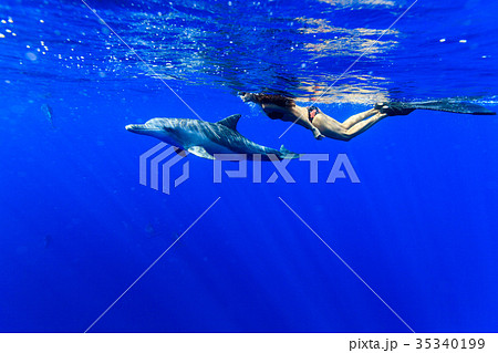 小笠原の海でイルカと泳ぐ女性スイマー 35340199