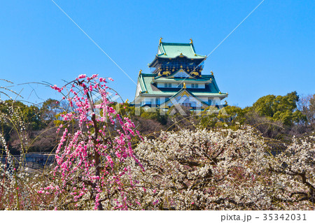 大阪城と梅林 35342031