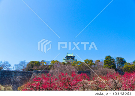 大阪城と梅林 35342032