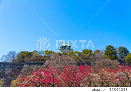 大阪城と梅林 大阪城と梅林 35342033