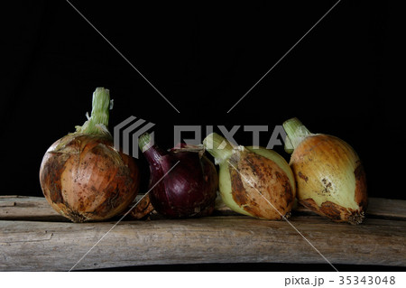 玉ねぎ　Onions 35343048