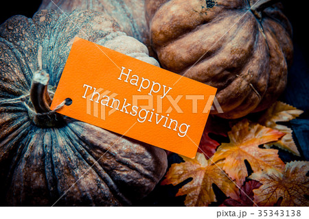 Happy Thanksgiving, fruit and vegetable in autumn 35343138