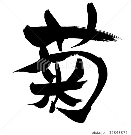 筆文字　菊　一文字　イラスト　 35343375
