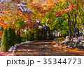 Autumn yellow and red maple leaves 35344773