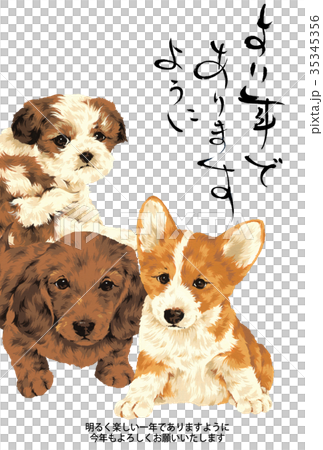 Dog new year's card Dog new year's card 35345356