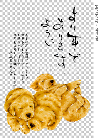 Dog new year's card Dog new year's card 35345364