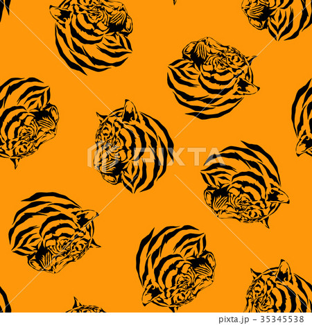 老虎圖案 插圖素材 圖庫