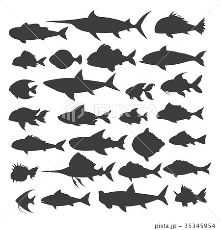 Fishes silhouettes set 35345954