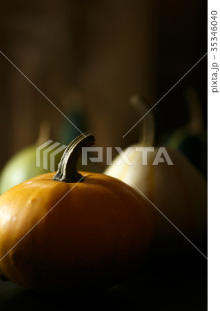 ハロウィン ハロウィン 35346040