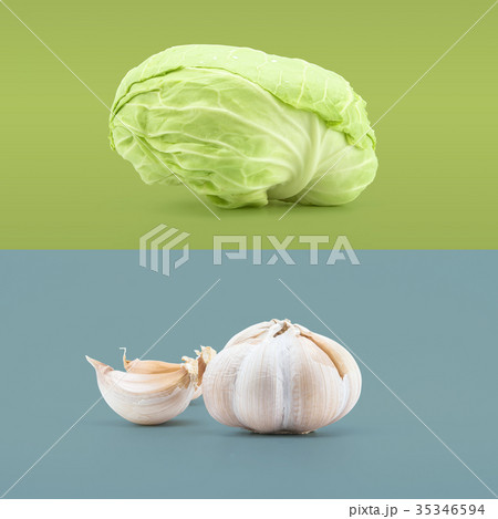Creative layout made of green cabbage and garlic 35346594