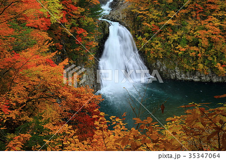 紅葉の法体の滝の写真素材