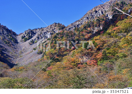 大谷崩の紅葉 35347521