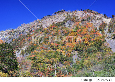 大谷嶺の紅葉 大谷嶺の紅葉 35347531
