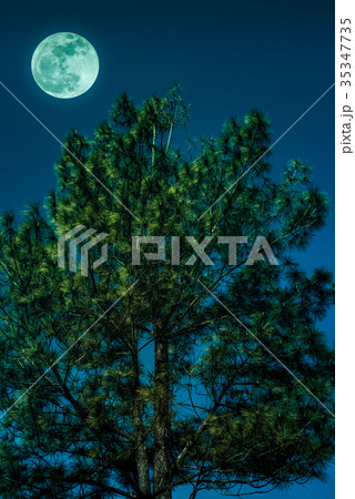 Landscape of sky and full moon with moonlight. 35347735