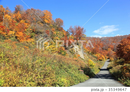 六十里越街道の紅葉 35349647