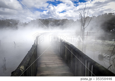 Bridge on a misty lake in Rotorua, New Zealand 35350446