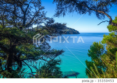 Track view, Abel Tasman National Park, New Zealand 35350453