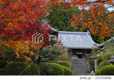晩秋の九品寺 35350888