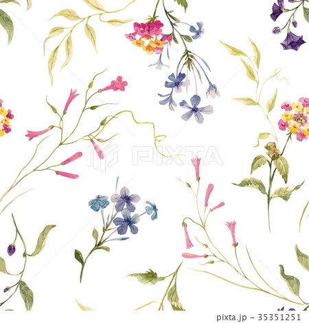 Watercolor floral vector pattern Watercolor floral vector pattern 35351251