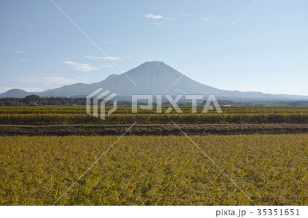 秋の伯耆富士　大山　西麓 35351651