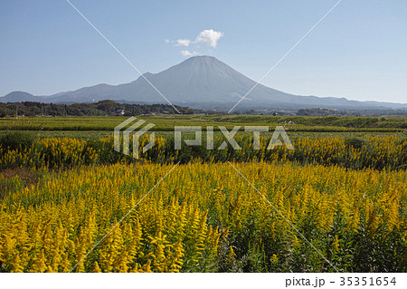 秋の伯耆富士　大山　西麓 35351654