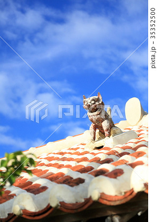 青空とシーサー 35352500