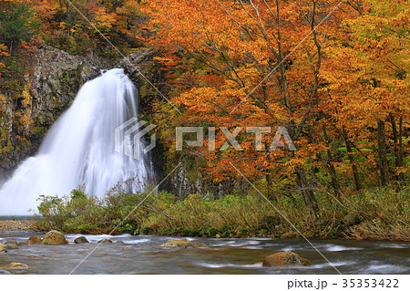 紅葉の法体の滝 35353422