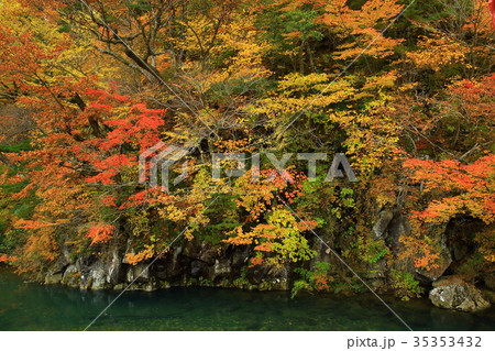 紅葉の法体の滝 35353432