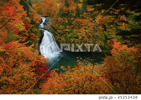 紅葉の法体の滝 35353438