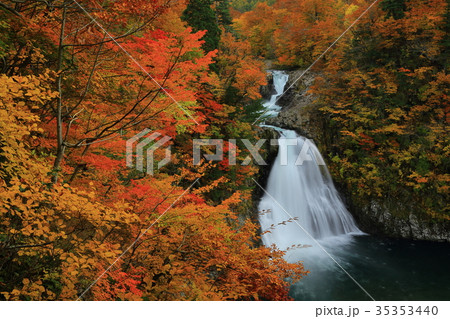 紅葉の法体の滝 35353440