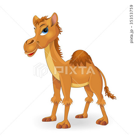 Lovely camel 35353759