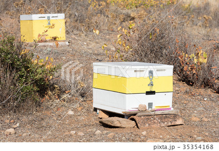 Beehive with bees in Greece Beehive with bees in Greece 35354168