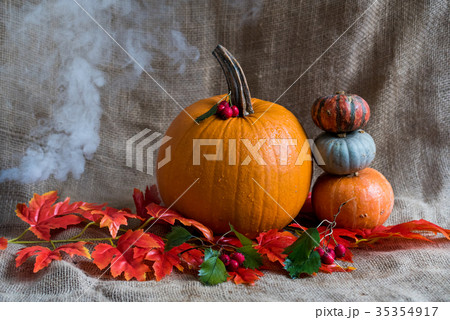 Close up various pumkins and red leaves 35354917