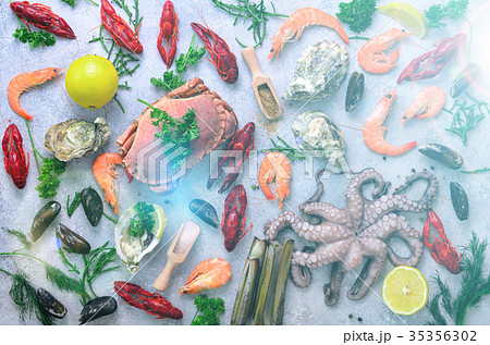 Seafood background - fresh mussels, molluscs 35356302