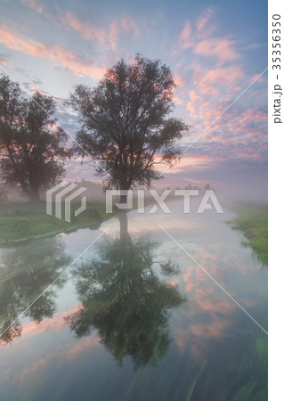 Beautiful misty dawn in the spring on the river Beautiful misty dawn in the spring on the river 35356350