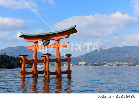 広島　厳島神社の大鳥居 35356436