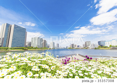 庭園のある都市風景 35357308