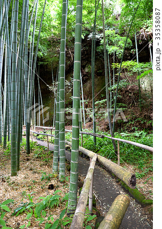 英勝寺（鎌倉） 35358087