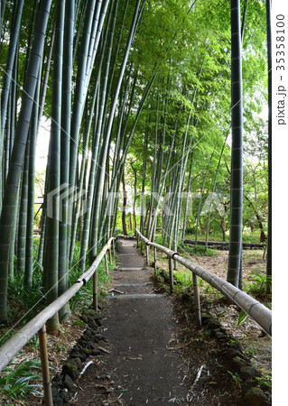 英勝寺(鎌倉) 英勝寺(鎌倉) 35358100