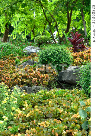 Various flower and plant for nice gardening 35360828