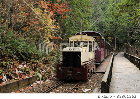 秋の赤沢森林鉄道 35361562