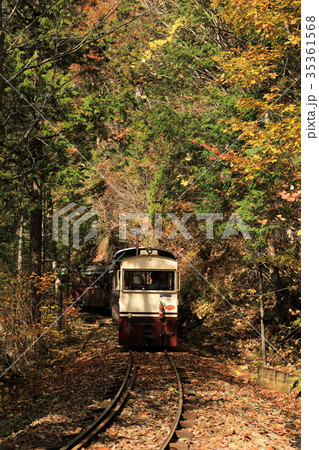 秋の赤沢森林鉄道の写真素材