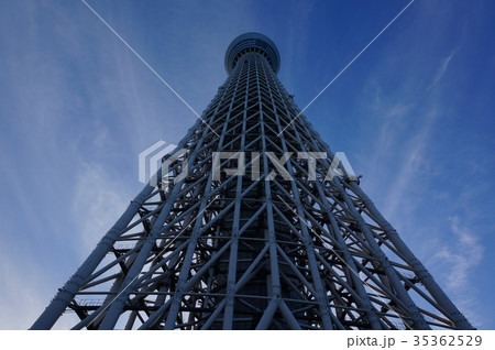 見上げた東京スカイツリー 35362529