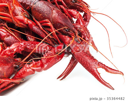 crawfishes 35364482