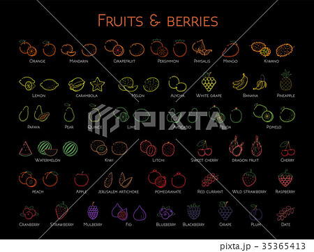 Outline colorful linear web icon set Fruit berries 35365413