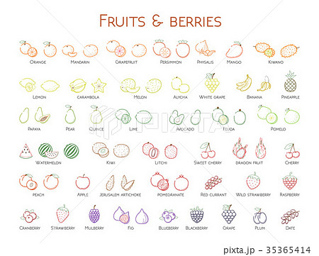 Outline colorful linear web icon set Fruit  berry 35365414