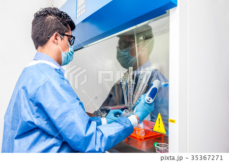 Scientist working in a laminar air flow cabinet  35367271