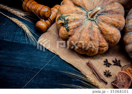 thanksgiving day and autumn season for party 35368101