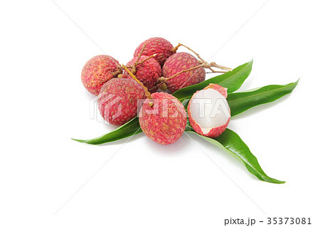 lychee fruit, peeled to show the flesh white. lychee fruit, peeled to show the flesh white. 35373081